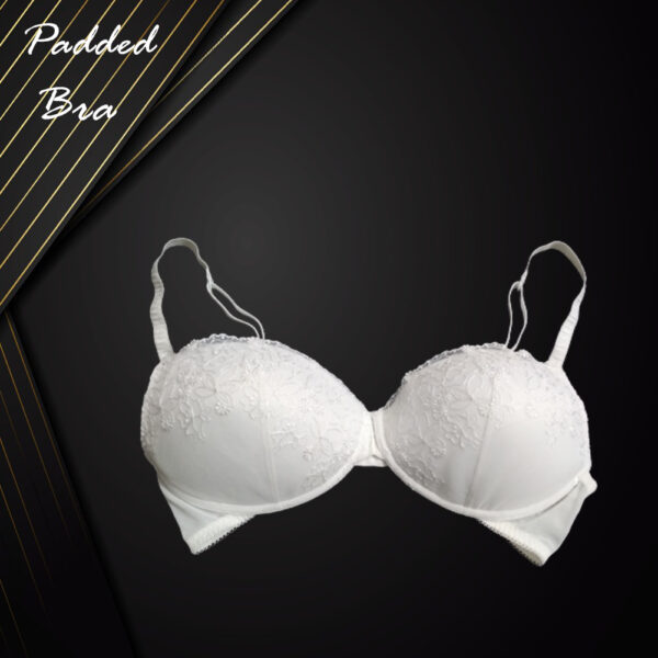 Push Up Bra Archives - : The Ultimate Destination for Women's  Undergarments & Leading Women's Clothing Brand in Bangladesh Online Shopping  With Home Delivery